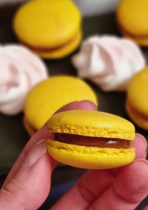 Une photo de Macaron