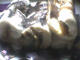 Roti Malam