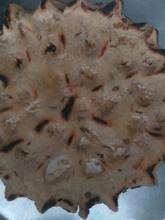 રાજસ્થાની ખોબા રોટી(Khoba Roti Recipe in Gujarati) રેસીપી મુખ્ય ફોટો