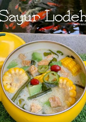 Foto resep Sayur Lodeh