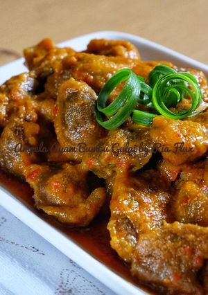 Foto resep Ampela Ayam Bumbu Gulai