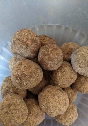 A picture of Moong and rice laddu.