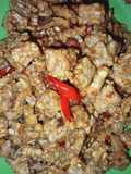 17. Kering tempe