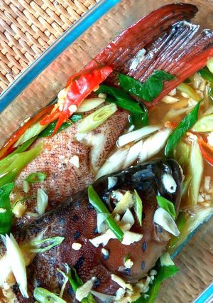 Foto resep Ikan kerapu steam