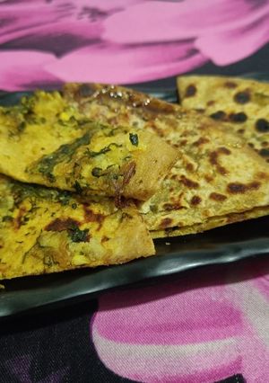 A picture of Leftover aloo methi paratha.