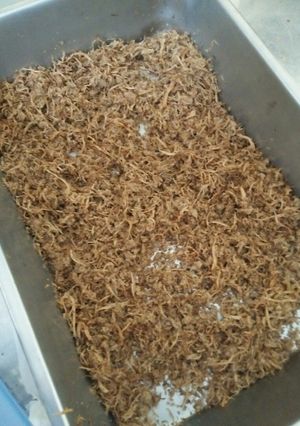 Hình của món Ruốc nấm sò tím.