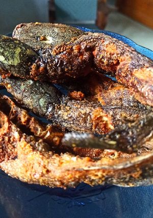 Foto resep Lele goreng bumbu instan