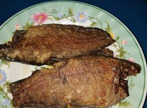 Hình của món Cá sặc rằn chiên.