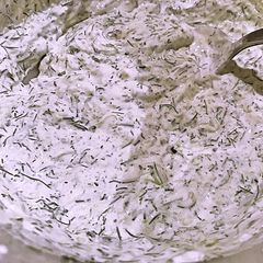 A picture of Dill Tzaztziki sauce.