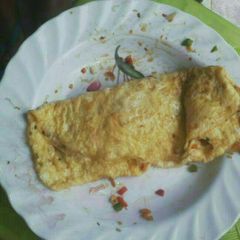 A picture of Egg omellette.