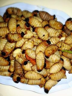 รูปของ ด้วงสาคูผัดพริกไทยดำ