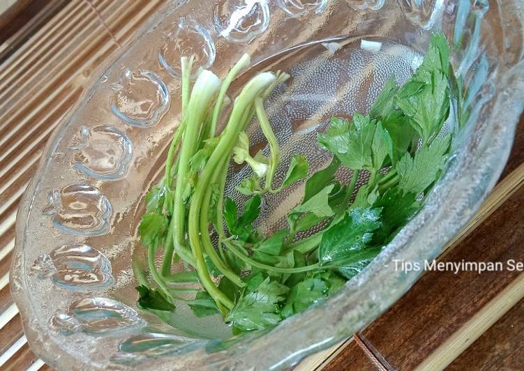 Cara membuat Tips menyimpan Seledri agar tetap Fresh by Shinta enak