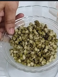 A picture of Sprouted Moong salad.