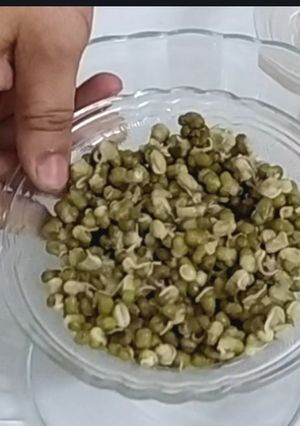 A picture of Sprouted Moong salad.