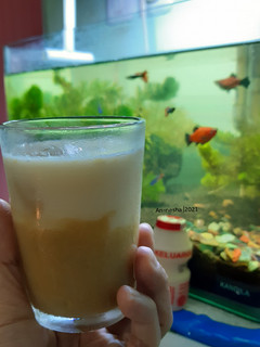 Foto resep 140.Jus Mangga Yakult