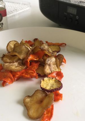 A picture of Safe Vegetable Chips / Food Dehydrator.