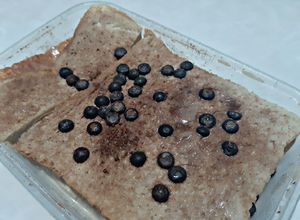 Foto resep Roti Tawar Siram Tango Drink