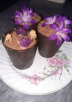 عکسی از دستور دسر گلدانی (مخصوص روز دختر)