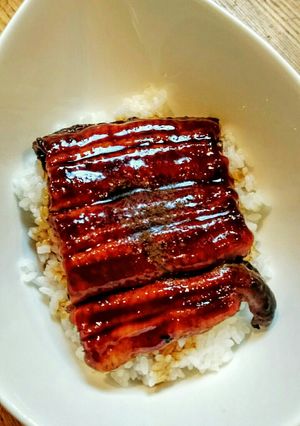 A picture of Fluffy and Delicious Unadon with Store-Bought Unagi.