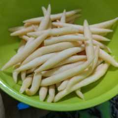 รูปของ Gabus Keju