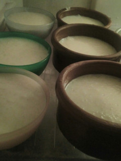 A picture of Rice Pudding.