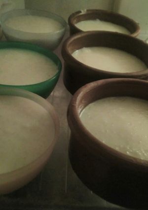 A picture of Rice Pudding.