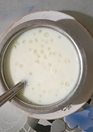 સાબુદાણા ની ખીર (Sabudana Kheer Recipe In Gujarati) રેસીપી મુખ્ય ફોટો