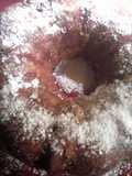 Peggys Bread Pudding