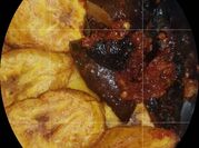 A picture of peppered snails