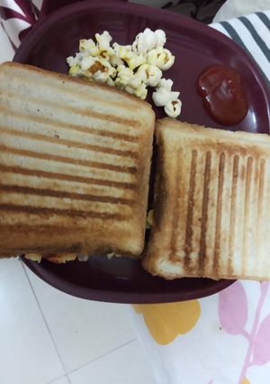 A picture of Grilled sandwitch.