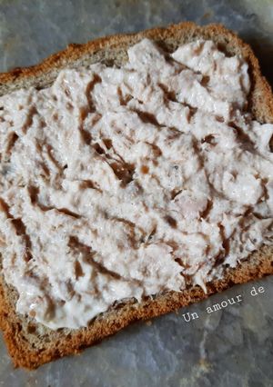 Une photo de Tartinade ou rillettes de thon mayonnaise 🍞