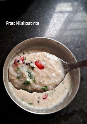 A picture of Proso Millet Curd Rice.