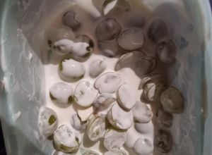 Una foto de Uvas con crema