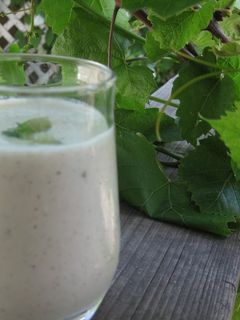 A picture of Kiwi & Yogurt Smoothie.