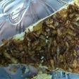 مبروشة التفاح