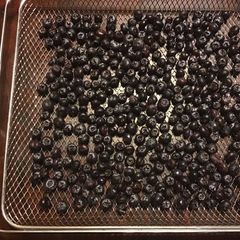 A picture of California Farm Air Fryer Pemmican Survival Food.