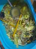Soto Ekonomis / Soto Tulang Ayam