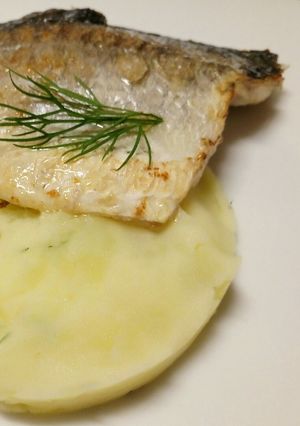 A picture of Pan-fried sea bass on a bed of yoghurt and dill potatoes.