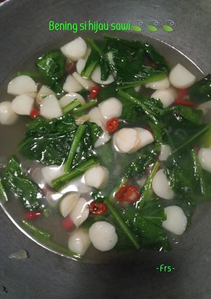 Foto resep Bening sawi baso🐟🥗🥙