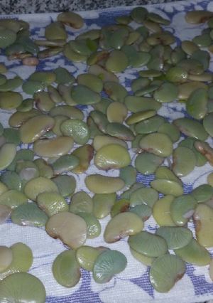 صورة لوصفة فاصوليا خضراء عريضه