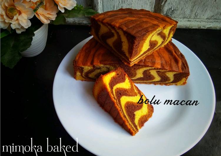 Bolu macan