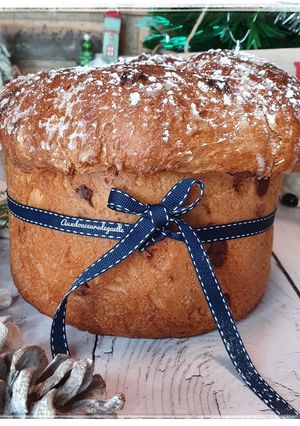 Une photo de Panetonne vraie recette italienne