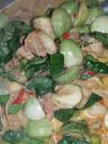 แกงเผ็ดหมูใส่มะเขือ