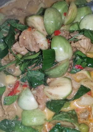 รูปของ แกงเผ็ดหมูใส่มะเขือ