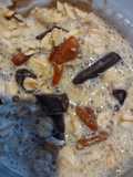 Overnight dark chocolate pecan oats