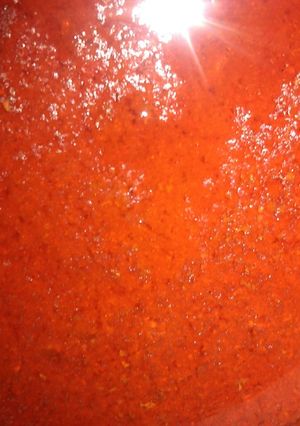 A picture of Tomato stew,with beef.