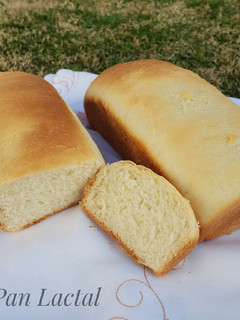 Una foto de Pan Lactal🍞