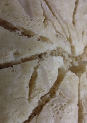 عکسی از دستور کیک یک تخم مرغی