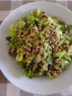Una foto de Ensalada de lentejas