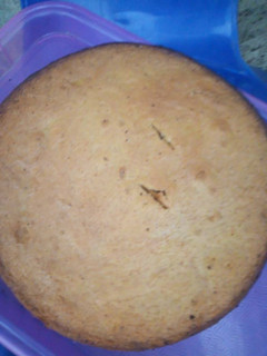 A picture of Orange Zest Pound Cake.